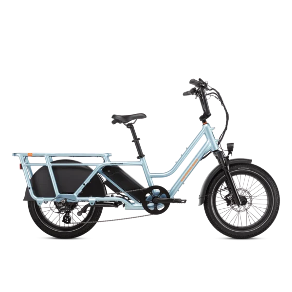 Rad Power Bikes RadWagon 5 Electrics Cargo Bikes